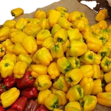 Желтый капсикум из арпутам