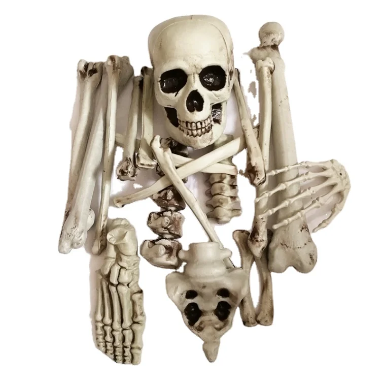 Halloween Ghost House Bar Decoration Props Simulated Human Plastic Skeleton