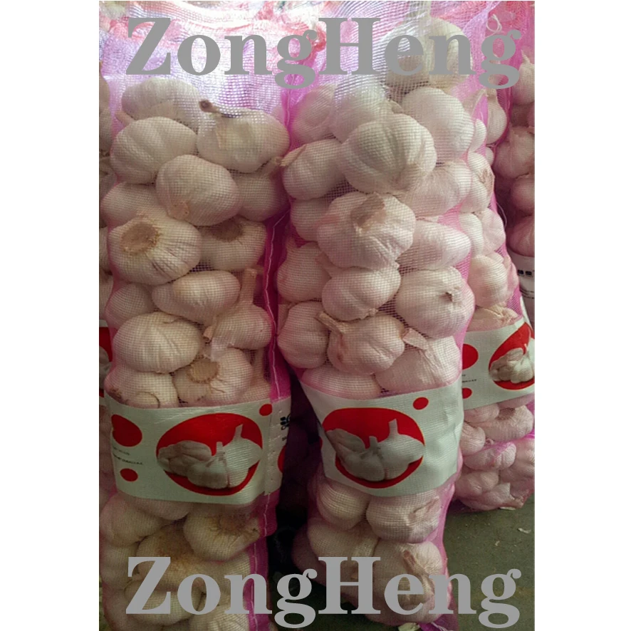 
2020 wholesale cheapest price china garlic 