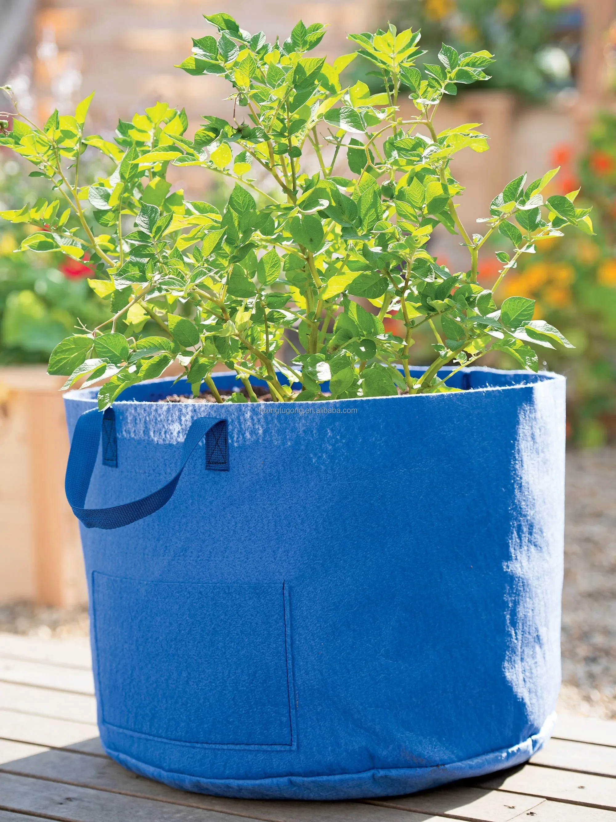 3/5/7/10 gallon Felt potato planting bag non-woven multi-purpose vegetable fruit seedling bag strawberry potato growing bucket