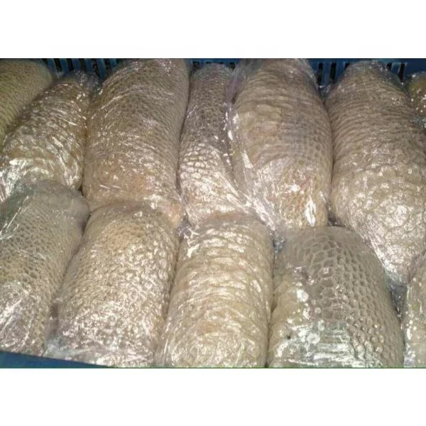 Halal frozen beef tripe in bulk