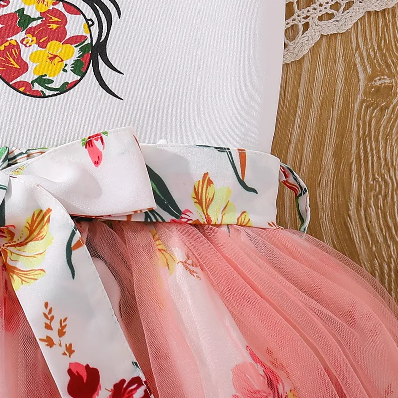 Factory Direct Sales Cute Girls Clothing Sets Carton Printed Fly Sleeve T-shirt Tutu Skirts Princess Dresses