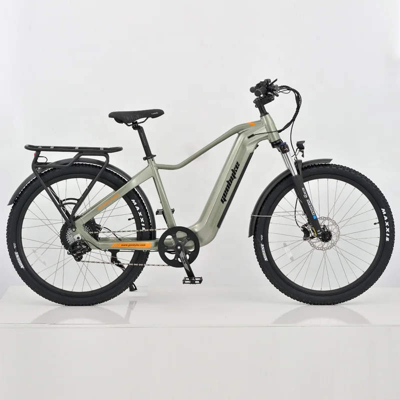 750W Off Road High Speed Mountain Electric Dirt Bike Fat Tire All Terrain Electrical City Bicycle Bikes