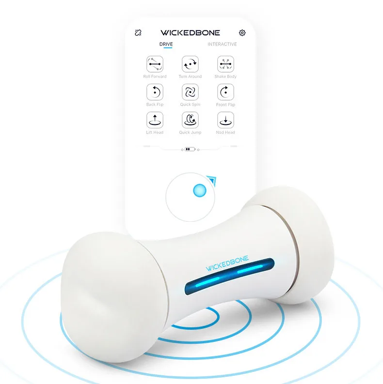 2019 new design R&D products Wickedbone Smart dog toy for smart dog  Worlds First Smart and interactive Dog Toy
