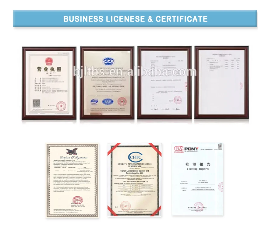 business licenese 13