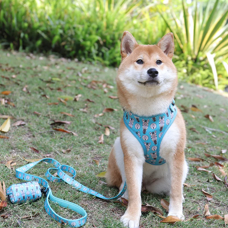 Custom strong heavy duty dog leash outdoor dog leash with poop bag dispenser portable brown waterproof dog leash set