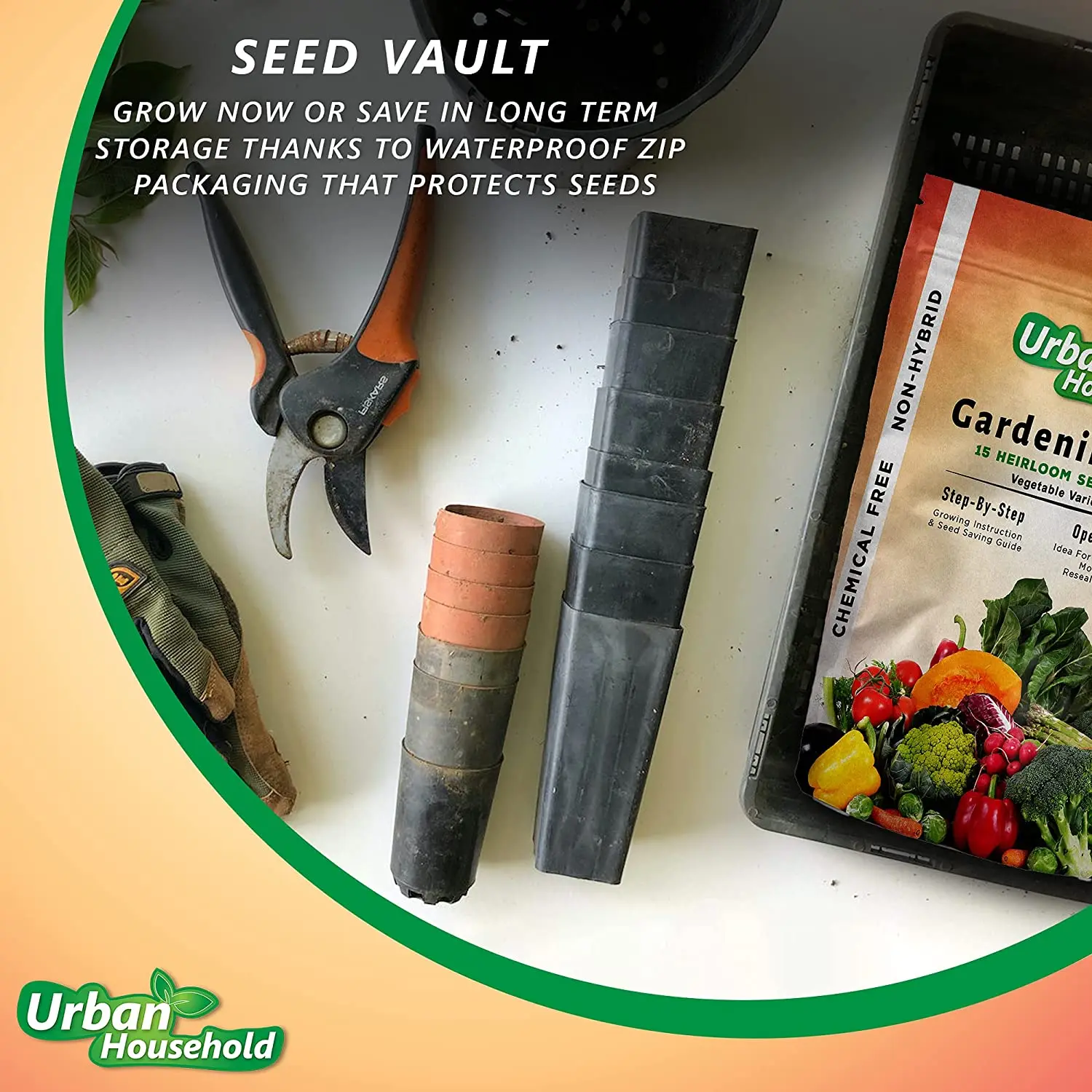 
Seeds Squash Zucchini Light Green Heirloom Vegetable for Planting Non GMO 