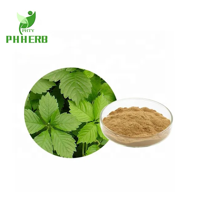 EU standard organic high purity extract powder gynostemma pentaphylla gypenosides 98%