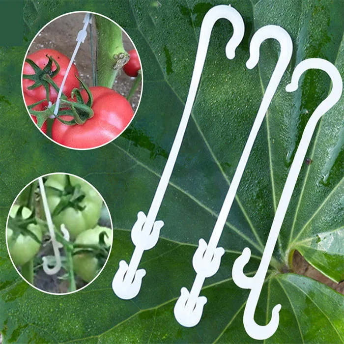 J Shaped Fruit Cherry Tomato Ear Hook Garden Vegetable Plant Grape Support Vines Fastener Clips Trellis Fixed Buckle Hook