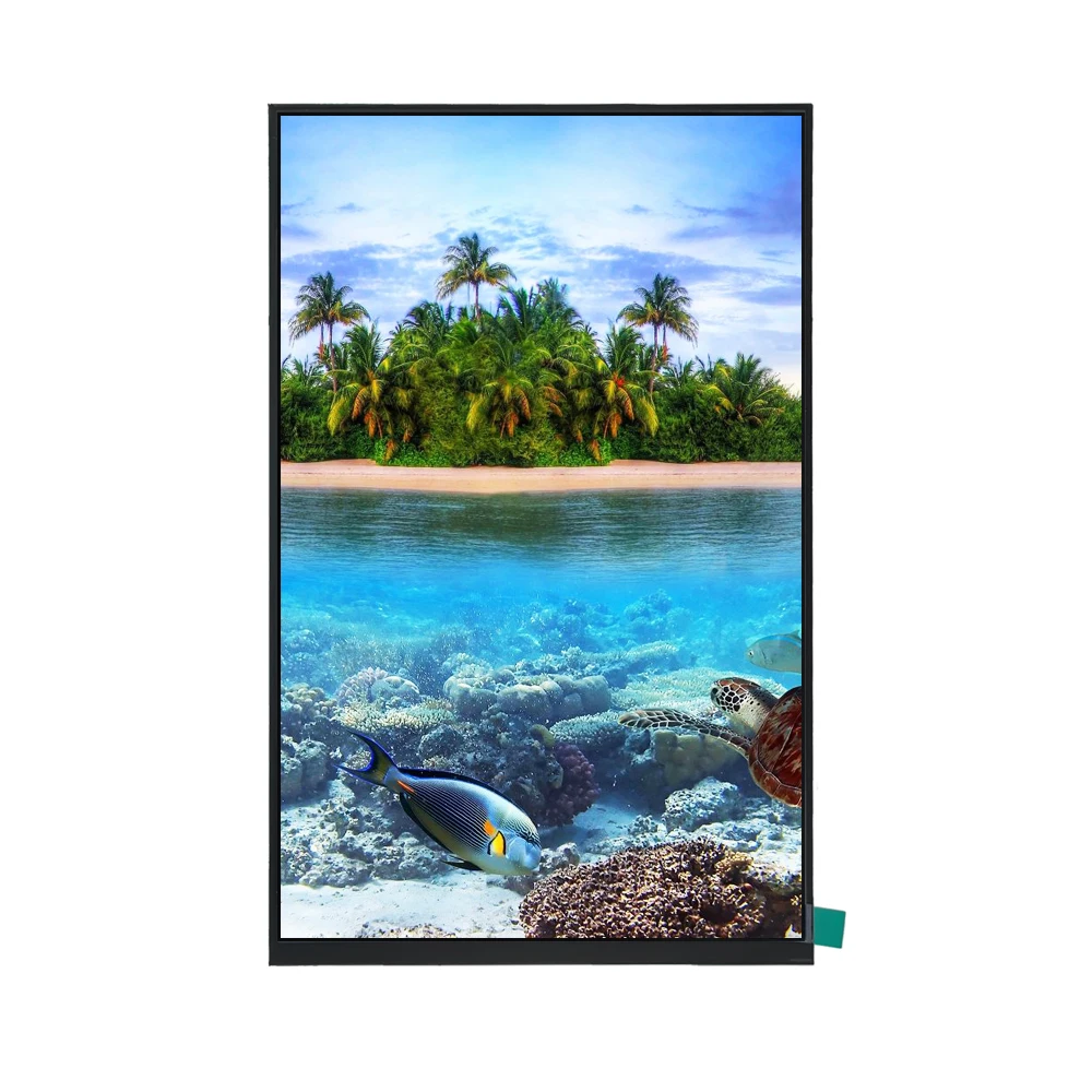 BOE High Quality 10.1 Inch MIPI 1200*1920 LCD Module Display Screen IPS Panel