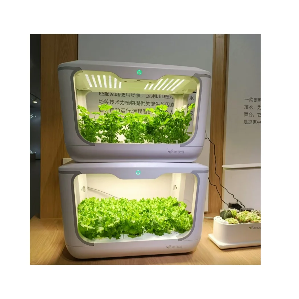Intelligent water processing plant machine and bottling onion planting machine  Vegetable grow box