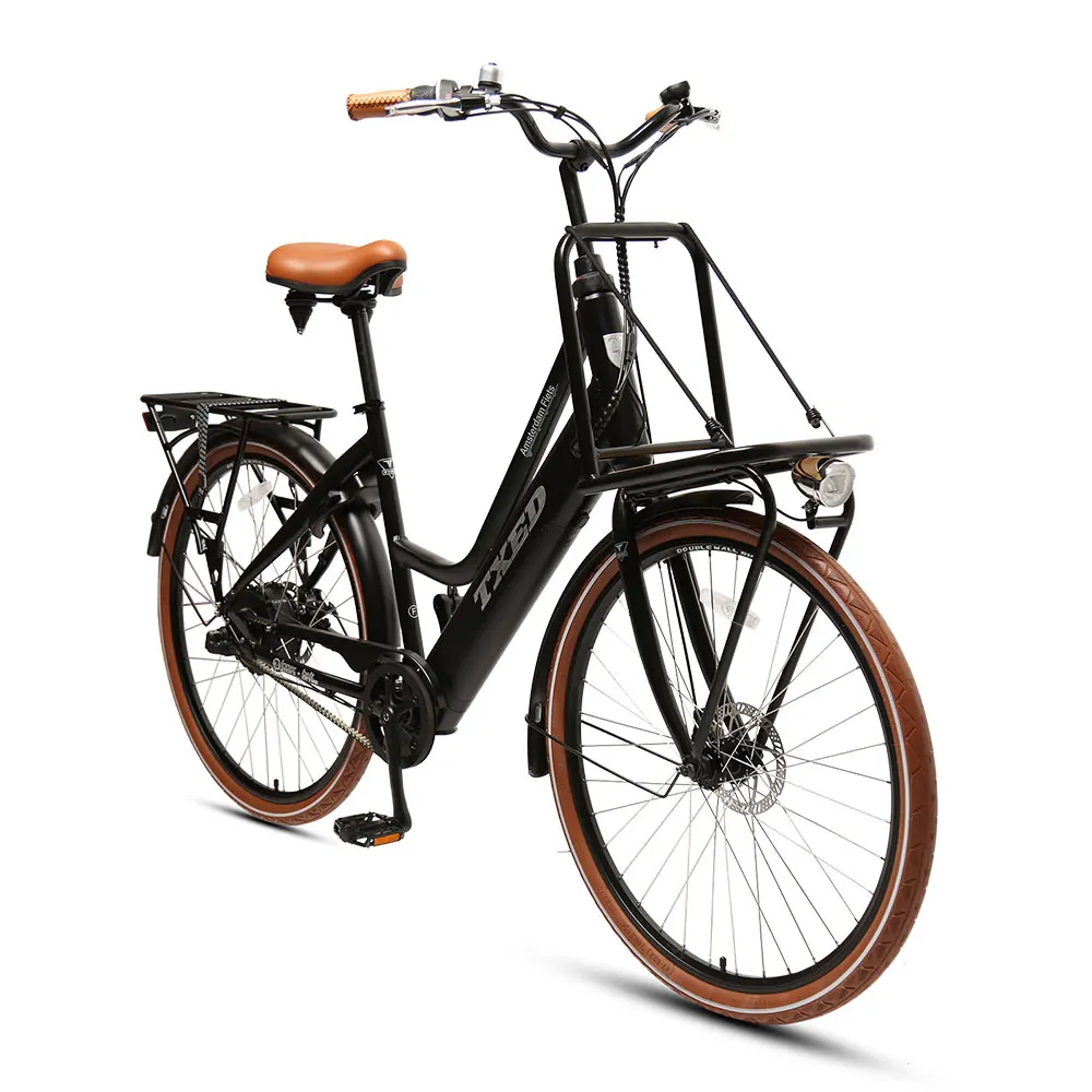 TXED 250W Rear Hub Motor inner 3-speed Electric Cargo Bike Matched With Belt Drive Electric City Bike