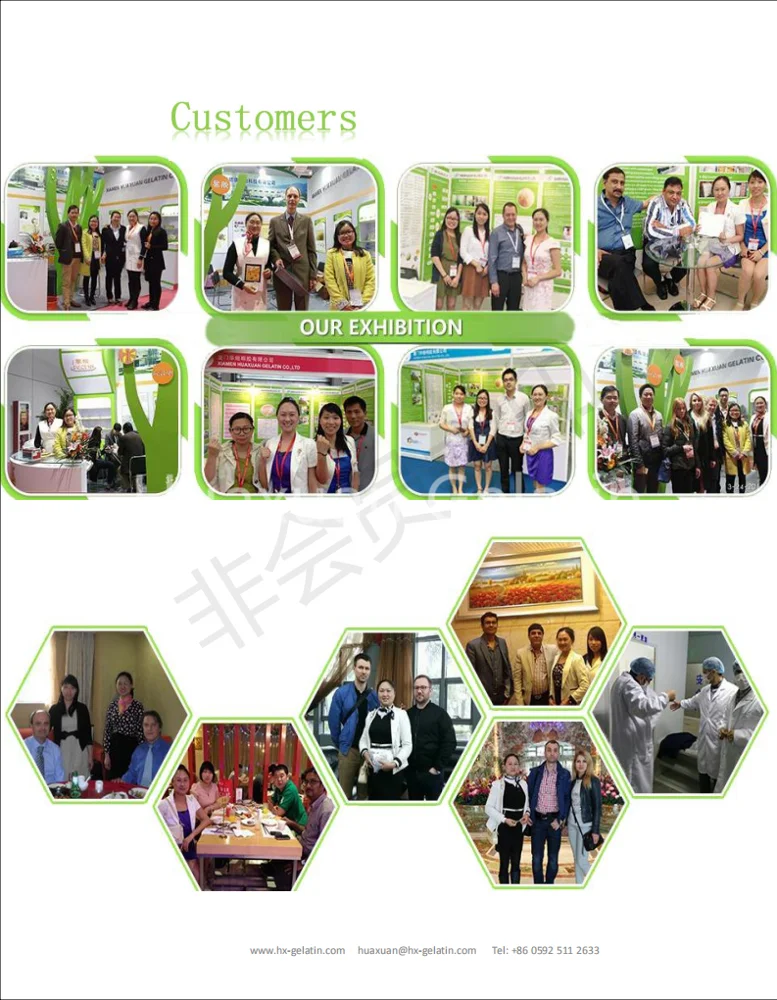 
Halal edible dessert good quality leaf gelatin sheets 