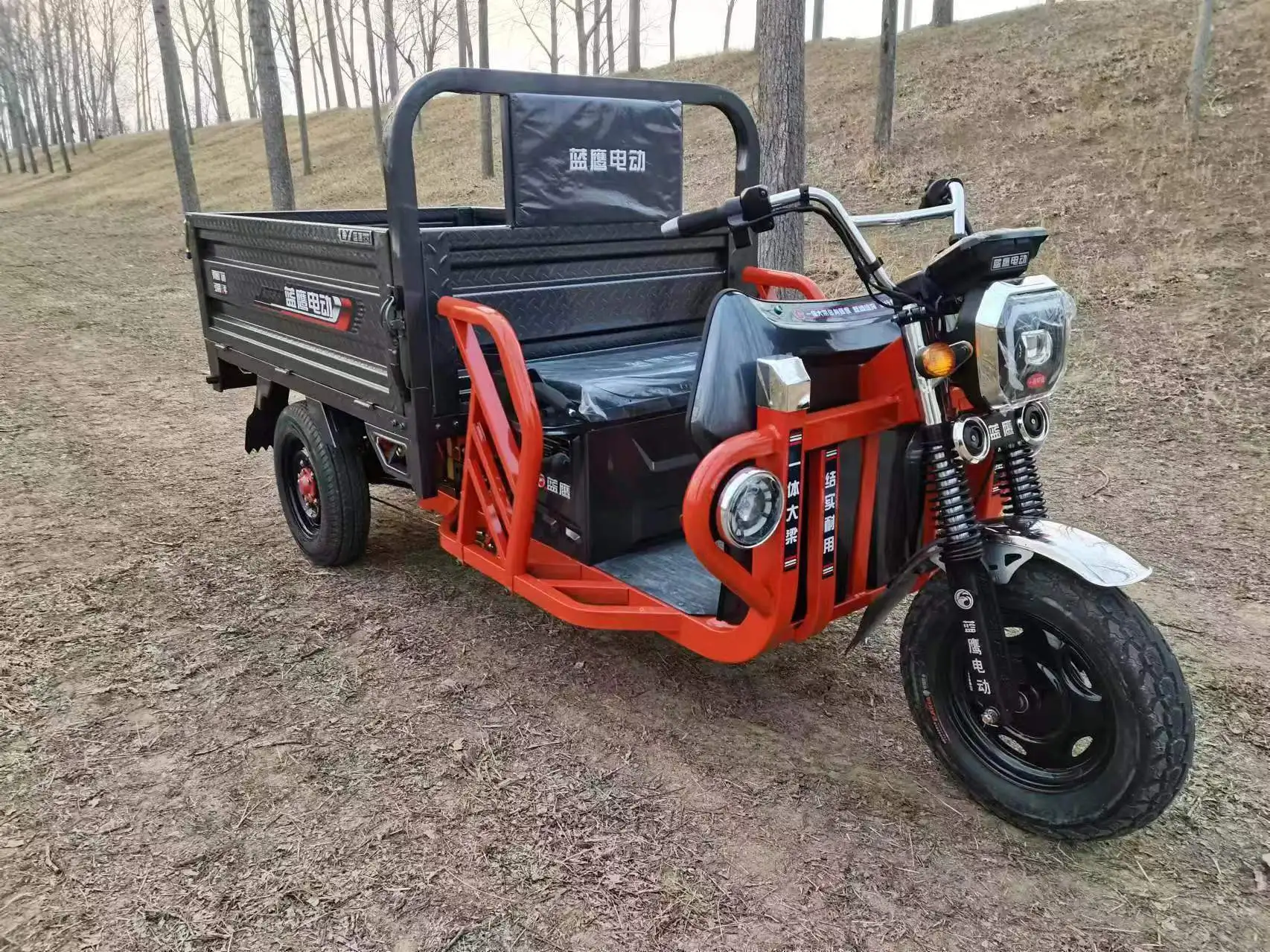 Fangrui Electric Cargo Tricycle And Battery Electric Scooter For Freight And Transport 1000W 60-72V
