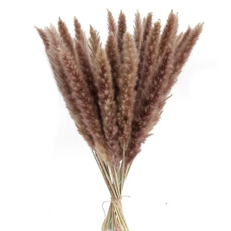 Wholesale indoor home decoration boho natural dried flowers fluffy Pampas grass