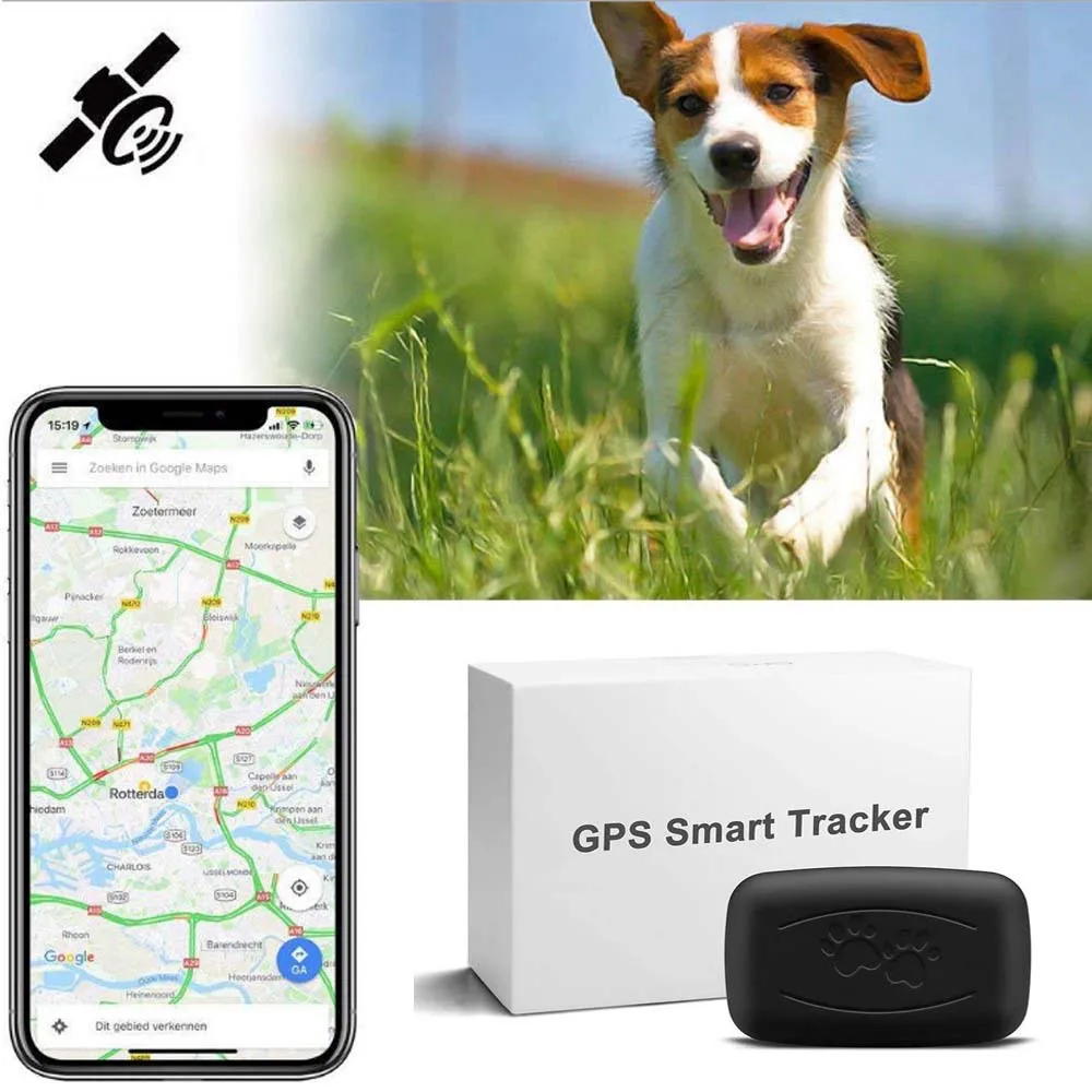 2022 factory wholesale pet smart tracker GPS locator for dog cat tracker GPS rastreador