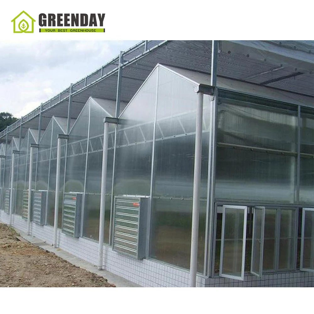 
GREENDAY Economical uv treated greenhouse floor covering high quality 