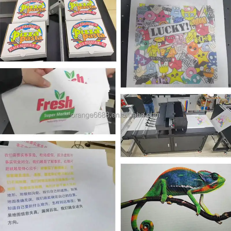 High Resolution Single One Pass Printer Paper Cup Digital Carton Printer