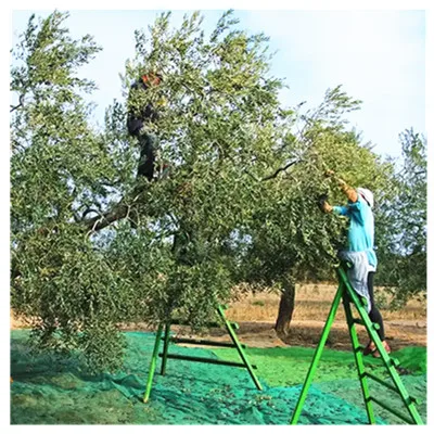olive net olive harvest netting 100% HDPE olive collection net for Greece market