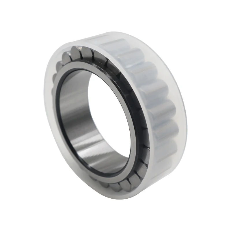CPM2843 Cylindrical roller bearing without outer ring CPM 2843 full complement cylindrical roller bearing