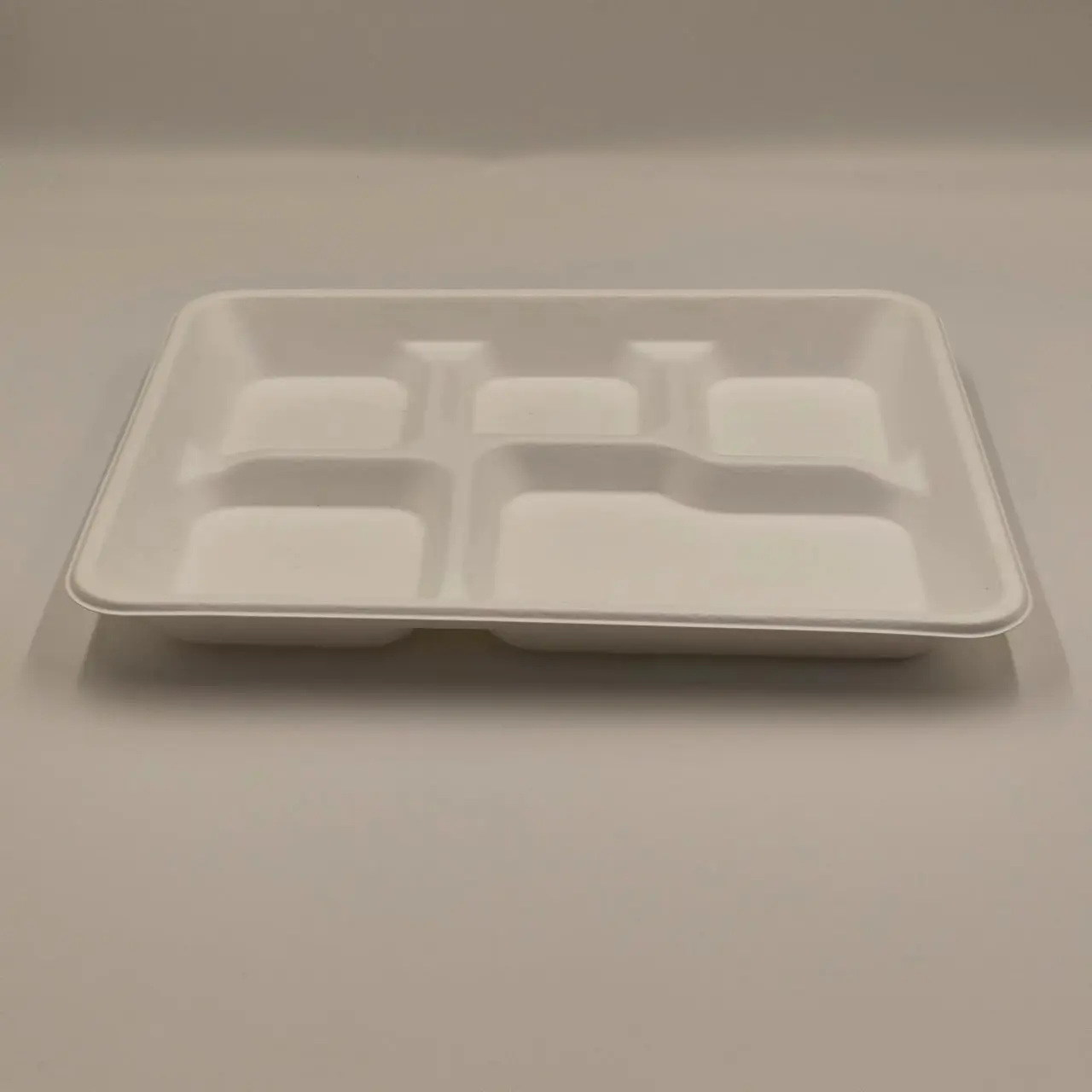 Disposable Food Tray with 5 Compartments Eco-Friendly Sugarcane Pulp Biodegradable Disposable Plates