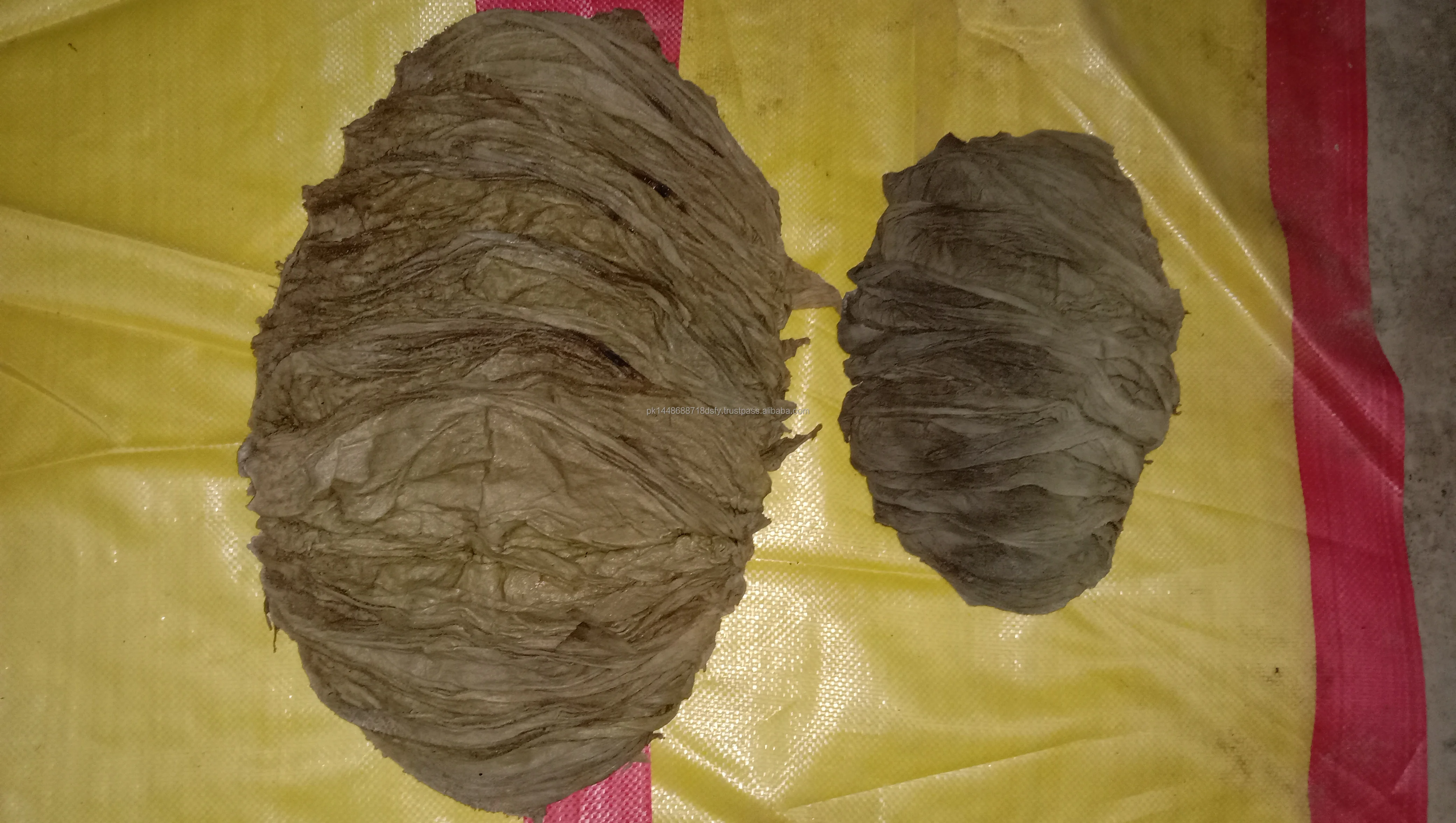 Top Food Grade BC Category Dried Buffalo Salted Beef Omasum From Pakistan in High Quality Packaging 500g-750g Per Piece