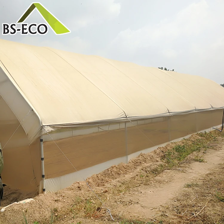 Китай Производитель Грибов Растет Фермы Теплицы Дизайн