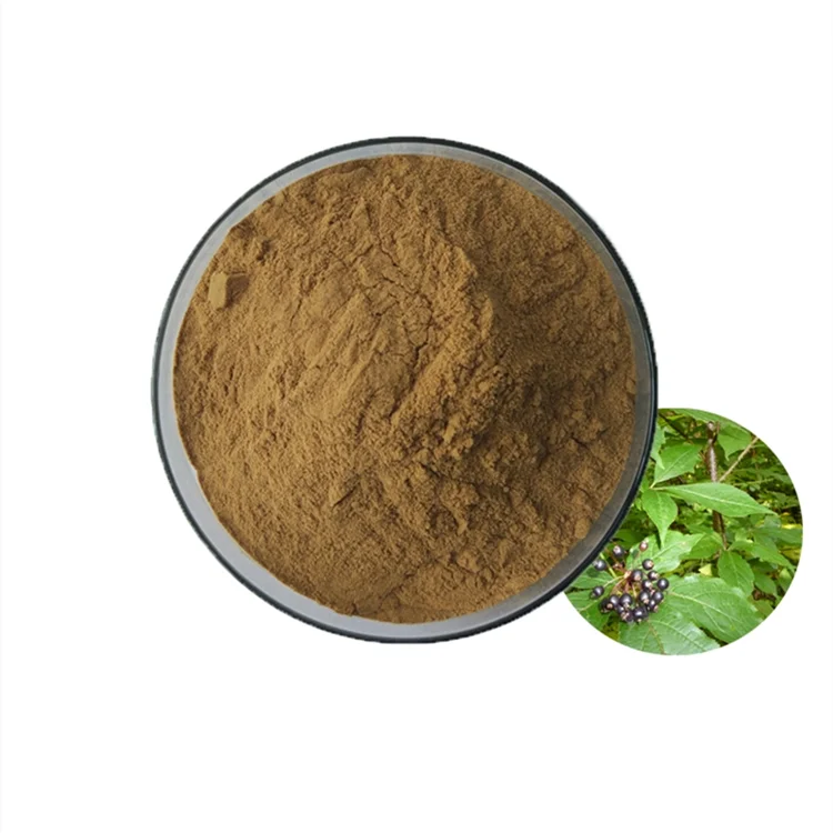 Горячая Распродажа, оптовая цена, экстракт катехина uncaria/uncaria rhynchophylla