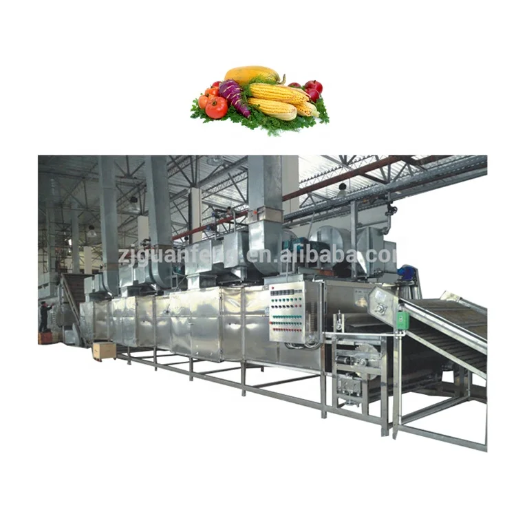 Continuous Industrial Conveyor Mesh Belt Dryer for Fruit Vegetable Seaweed Pepper Herb Chilli Coconut