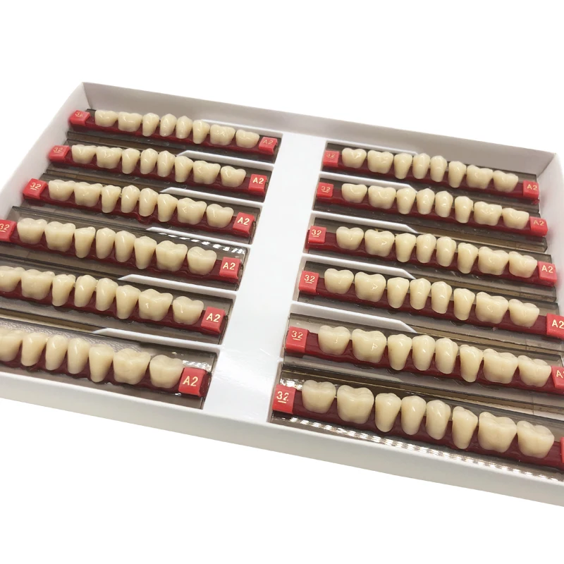 
Anterior False Teeth Denture False Teeth Flexibility High Quality Dental Hospital Practical False Teeth Material Dentures 