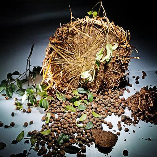 Natural pesticides Aquaculture product snail killer tea-seed-cake tea seed meal without straw