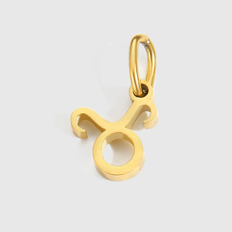 Jewelry Accessories 12 Constellations Stainless Steel Charm DIY Necklace Bracelet Pendant Wholesale Zodiac Charms