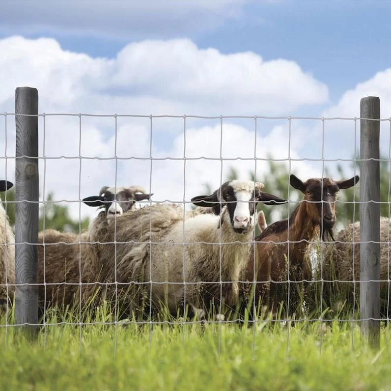 Factory Wholesale galvanized grassland fence 2.2mm 2.5mm 2.7mm wire cattle/sheep/farm/field/deer wire mesh fencing netting