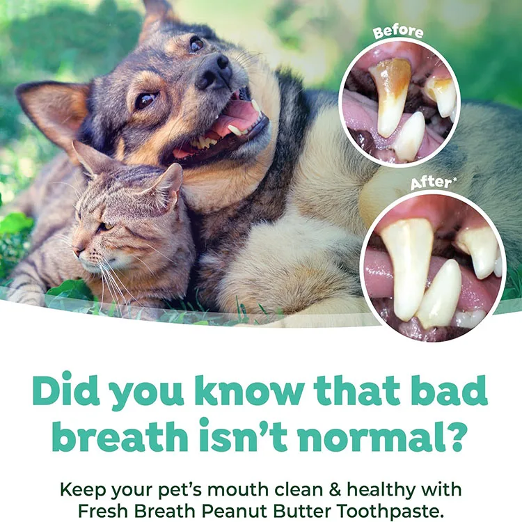 OEM Pet Organic Toothpaste Toothbrush Travel Kit for Dog Cat Fresh Breath Maintain Healthy Teeth Gums