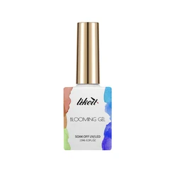 Likeit OEM Long Lasting Nail Painting Gel High Pigment Blooming Gel With MSDS
