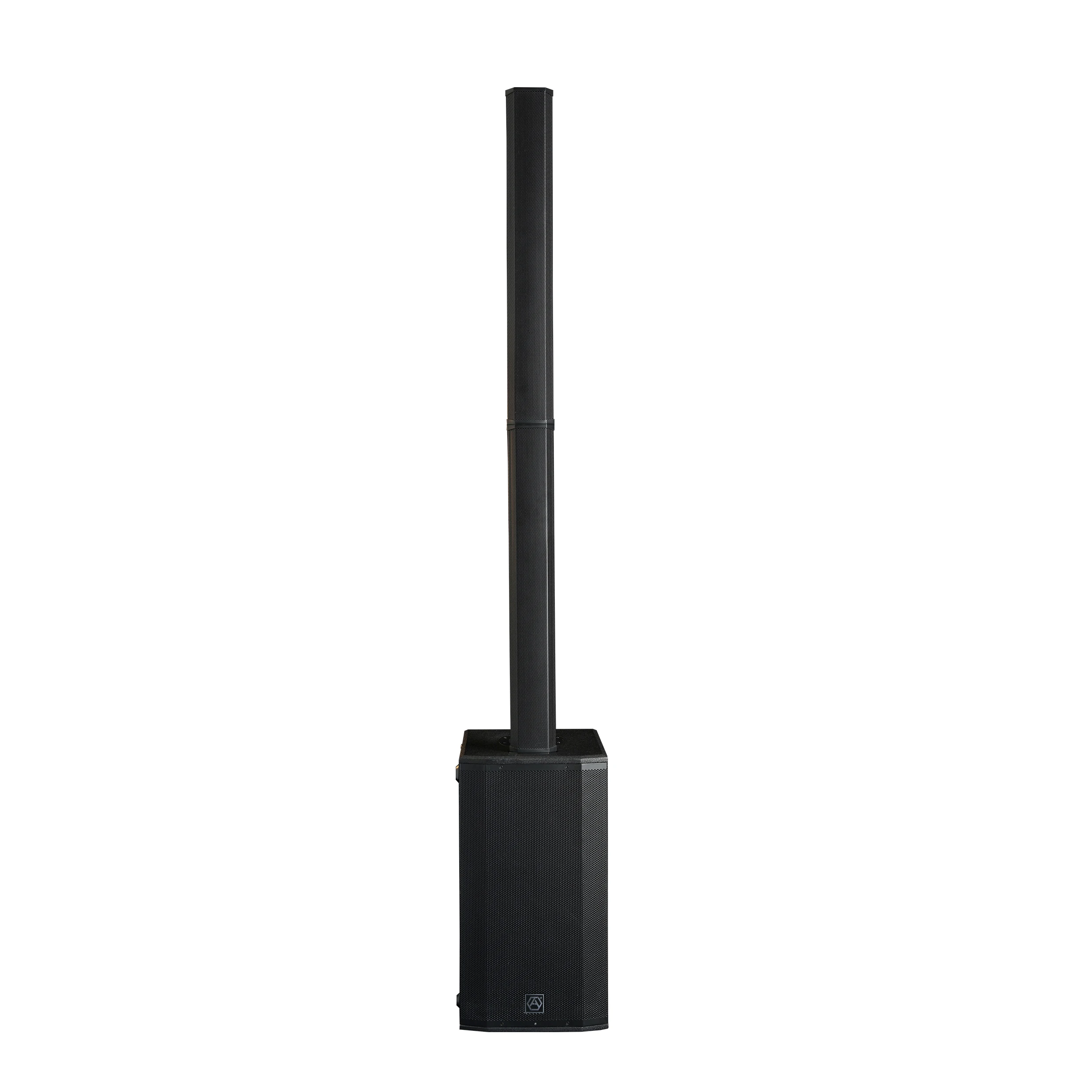  Precision Pro Audio AC22 уникальный новый модульный дизайн 2*10 'сабвуфер RMS 800 Вт PA система активная Колонка Напольные