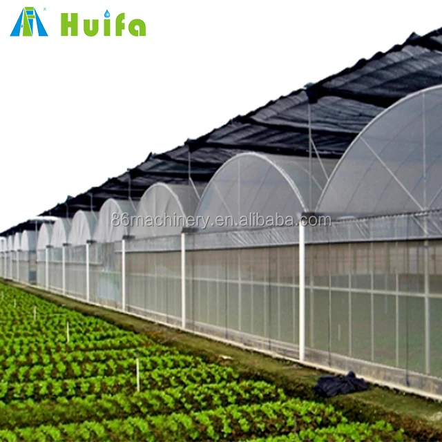 Agriculture Multi-Span Arch Plastic Film Greenhouse Strawberry Greenhouse