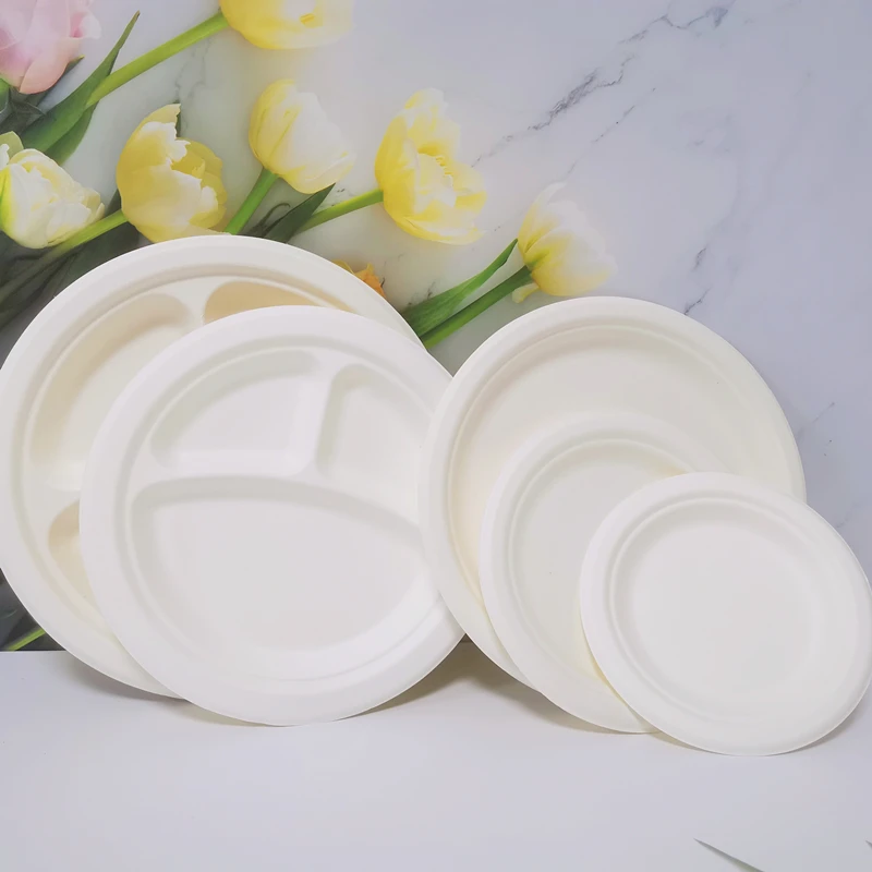 6 inches Disposable dinner plate biodegradable disposable plates sets dinnerware wholesaler