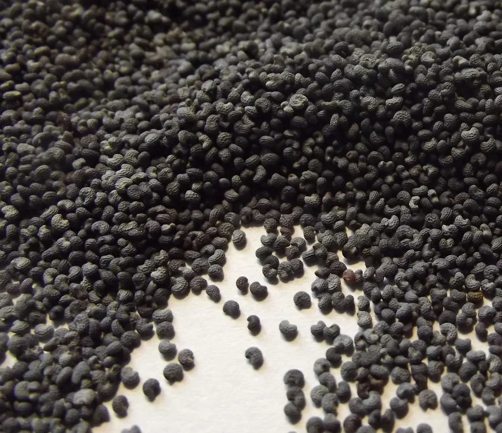 Top Quality Blue Poppy Seeds