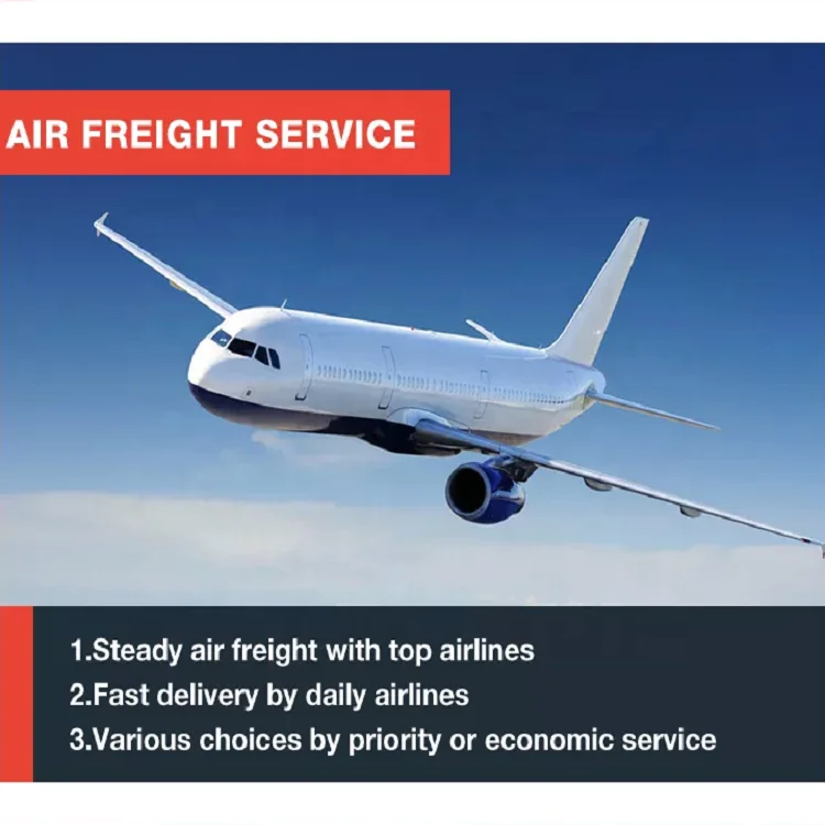 Biumart Special Line Shipping International Logistic Fast Cheap Air Sea Truck Train Shipping Agent Special Shipping Line Service