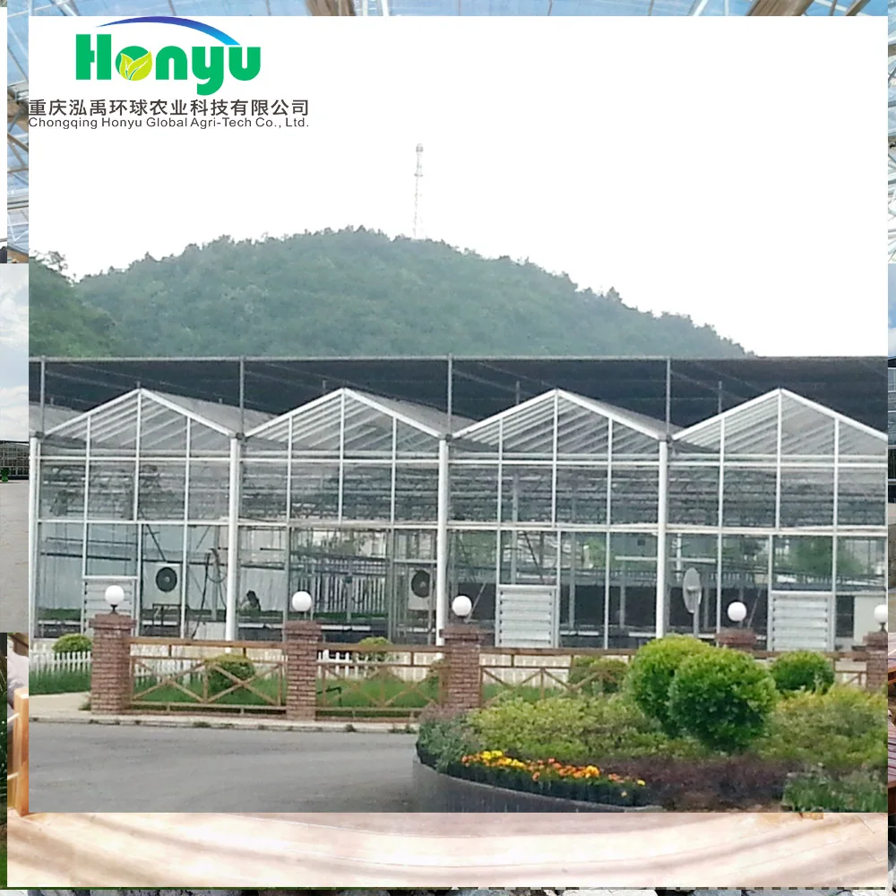 Multi-span Invernadero  Green House For Agricultural Greenhouse with aquaponic system