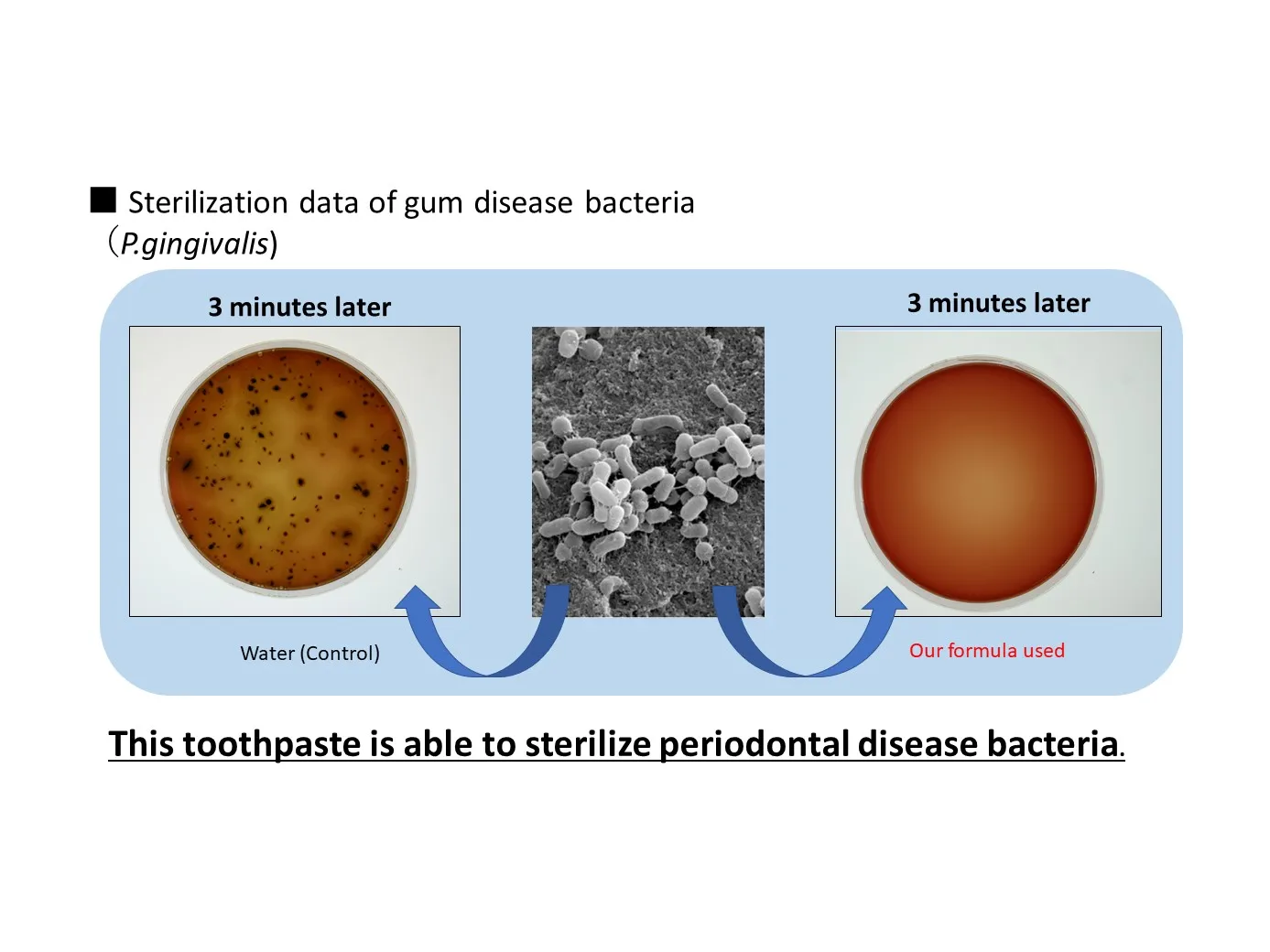 Japan sensitive nature herbal toothpaste for prevent bad breath