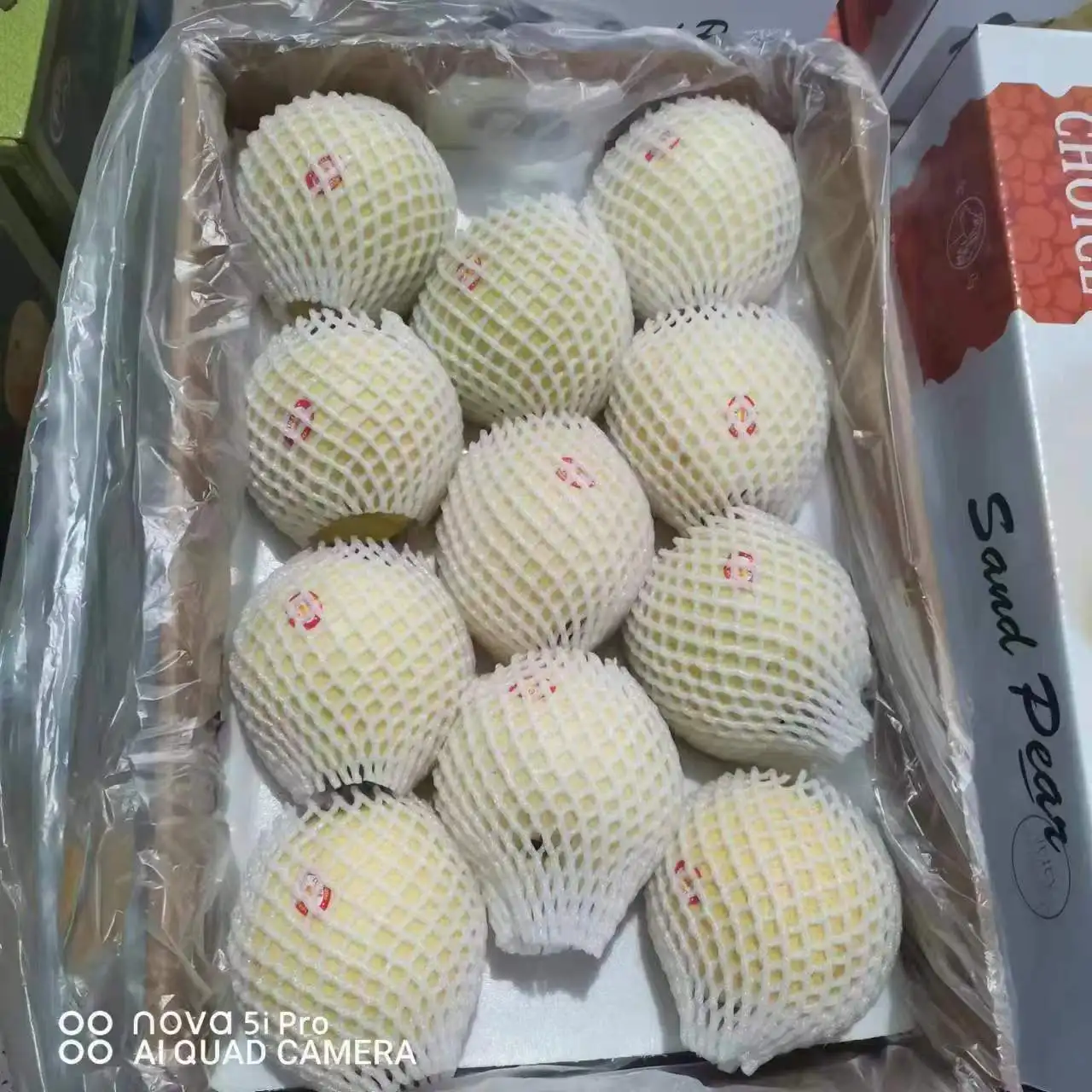 Высокое качество груши фрукты Корона груша новые свежие груши фрукты для продажи