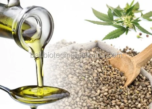 Wholesale Supply of High quality of Hemp Seed Oil