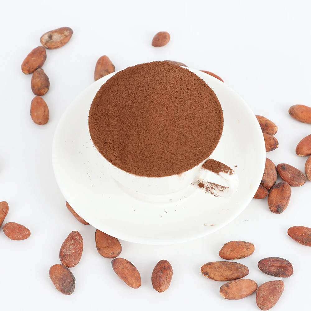 Manufacturer premium Alkalized Cocoa Powder JR02(reddish brown) Supplier made from West Africa cocoa bean Selling