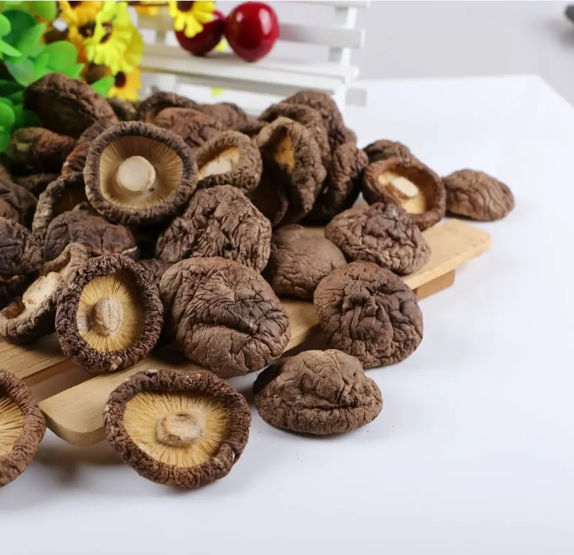 Wild Shiitake Mushroom Dried Fresh Whole with Stem and Cap Raw for Food Use Packaged in Bag