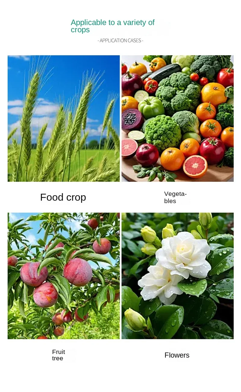 Popular Agricultural Compound Fertilizer with  12-12-17  2mgo    12-11-18  High Efficiency Nutrient Source