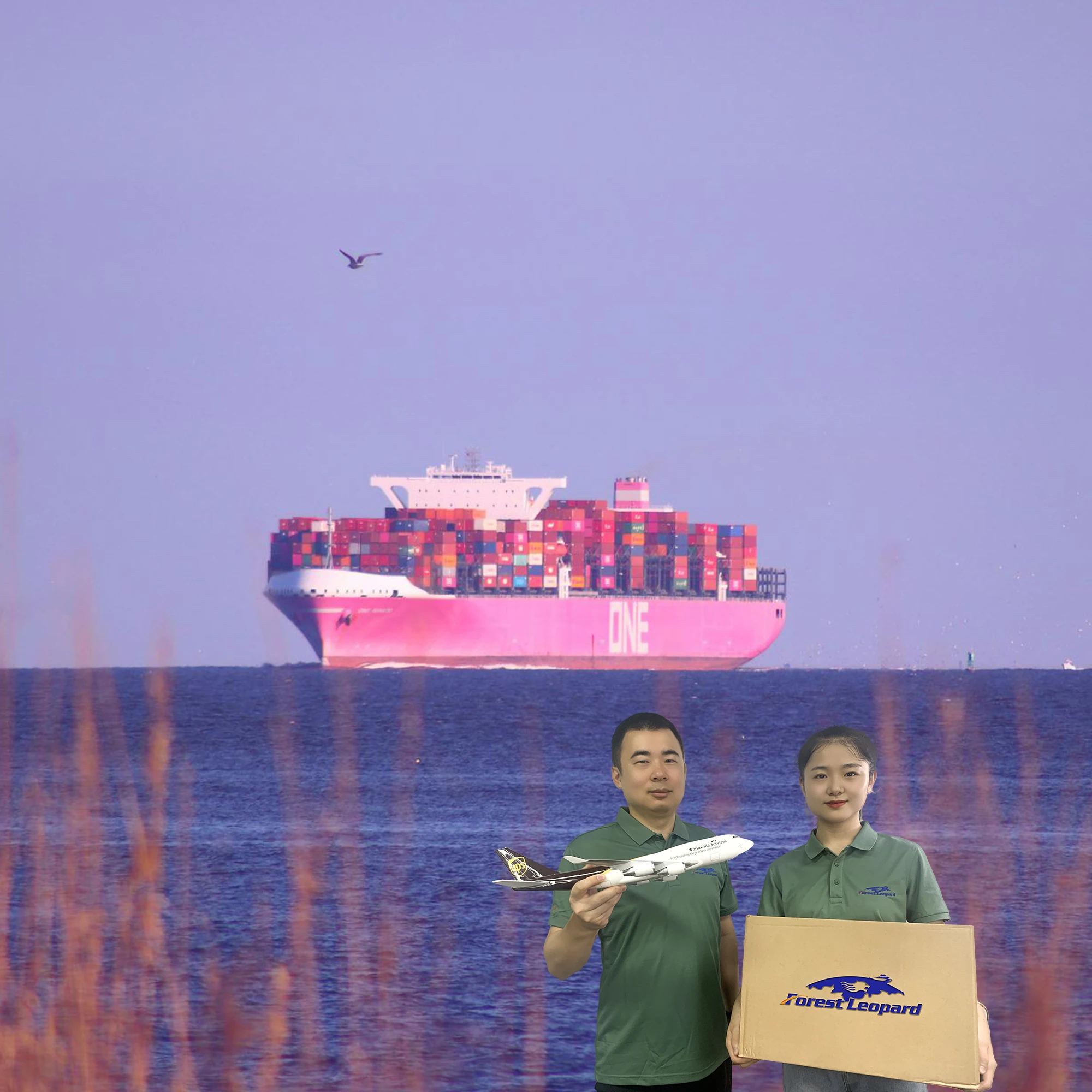 Shipping mobile phone case Fee Sea Freight Agent from Shenzhen Guangzhou herschel supply Shipping jobs jobs hong kong ddp to usa