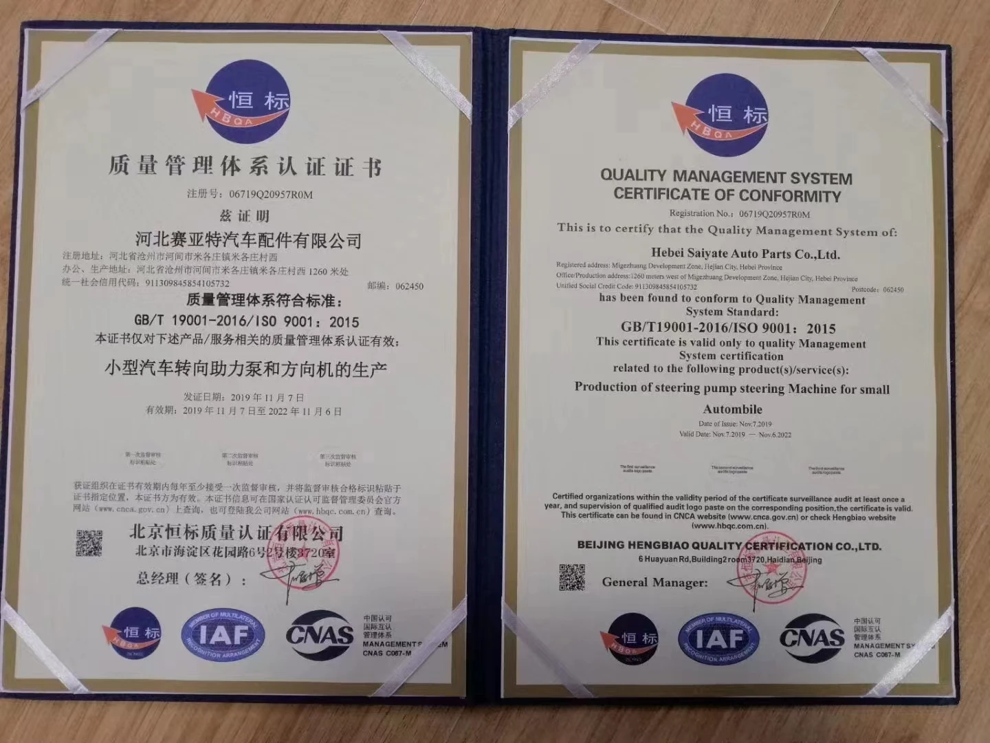 Auto Engine Hydraulic Power Steering Pump 7612974916  0055243966 for FIAT Punto Brav