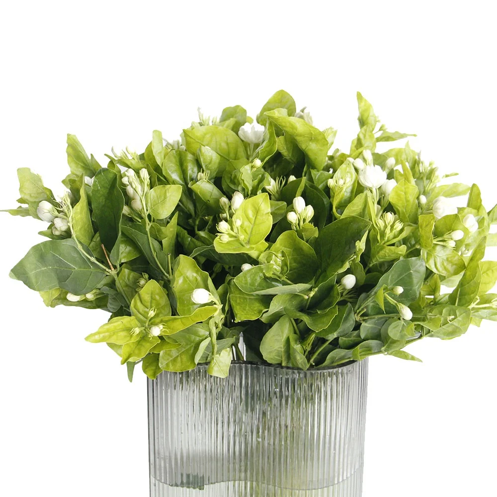 Competitive Price High Quality Jasmine Fresh Cut Flower For Home Wedding Decoration From China